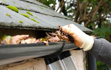 gutter cleaning Lydlinch, Dorset