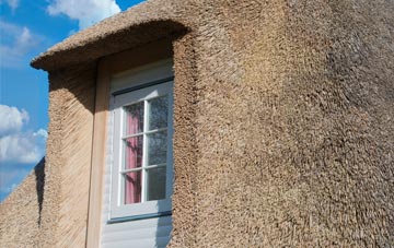 Lydlinch thatch roof disadvantages